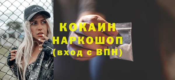 крисы Алексин