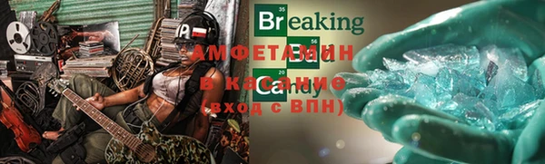 крисы Алексин