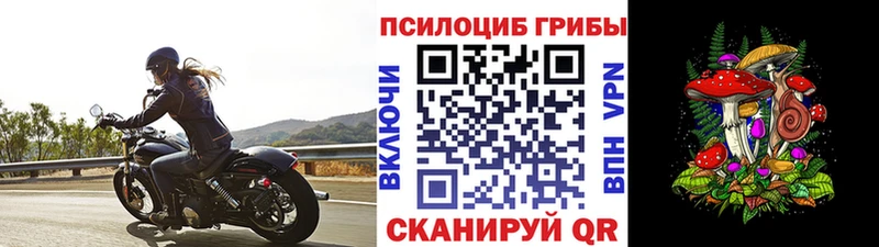 ссылка на мегу   купить   Нестеров  Галлюциногенные грибы Psilocybine cubensis 